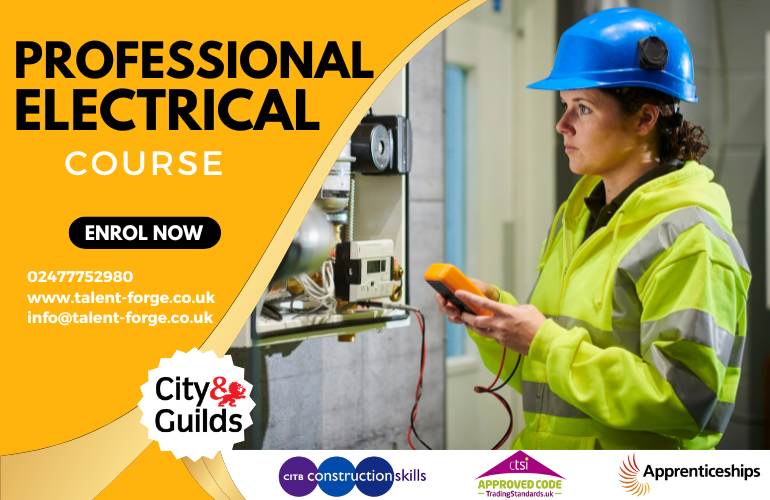 Professional Electrical Course